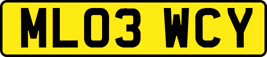 ML03WCY