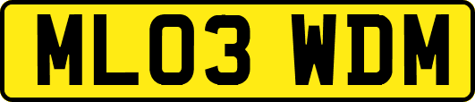 ML03WDM