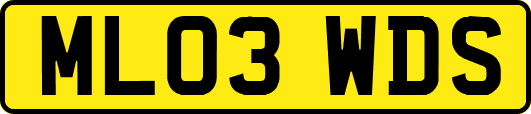 ML03WDS