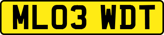 ML03WDT