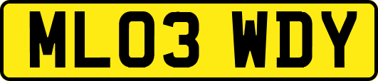 ML03WDY