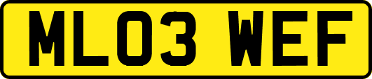ML03WEF