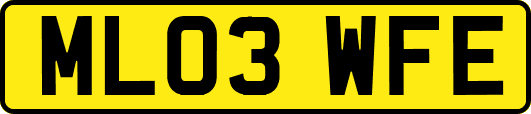 ML03WFE