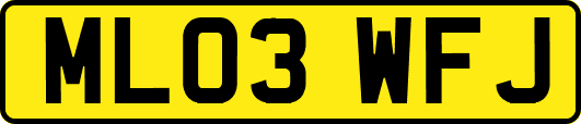 ML03WFJ