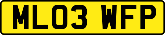ML03WFP