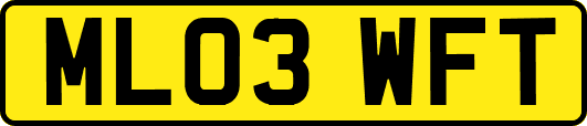 ML03WFT
