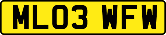 ML03WFW