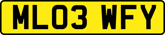 ML03WFY