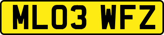 ML03WFZ