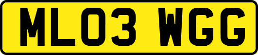 ML03WGG