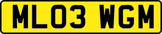 ML03WGM