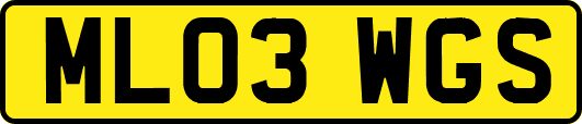 ML03WGS