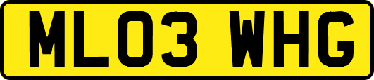 ML03WHG