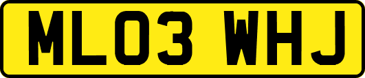 ML03WHJ