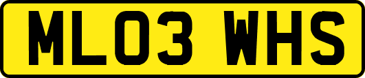 ML03WHS