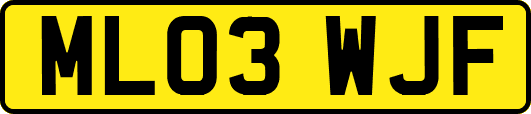 ML03WJF