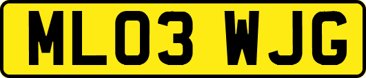 ML03WJG