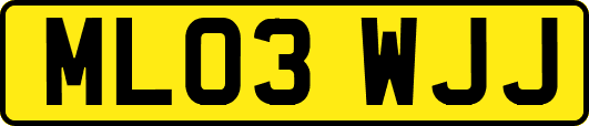 ML03WJJ