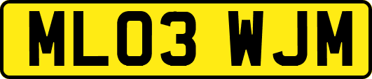 ML03WJM