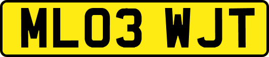 ML03WJT