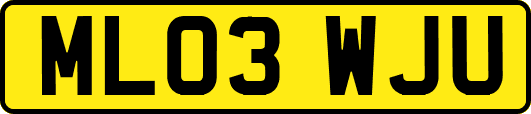 ML03WJU