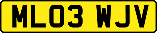 ML03WJV
