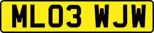 ML03WJW