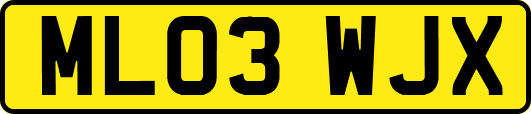 ML03WJX