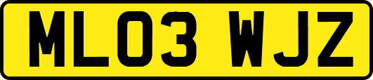 ML03WJZ