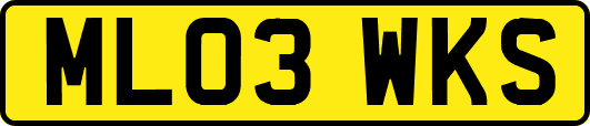 ML03WKS