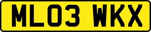 ML03WKX