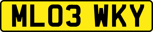 ML03WKY