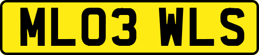 ML03WLS