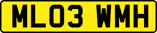 ML03WMH