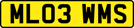 ML03WMS
