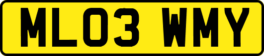 ML03WMY