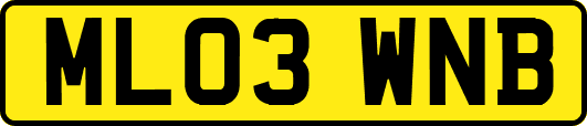 ML03WNB