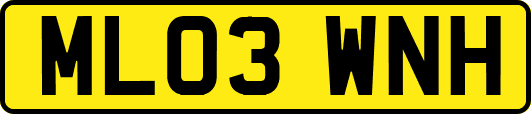 ML03WNH