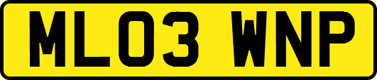 ML03WNP