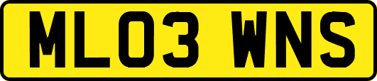 ML03WNS