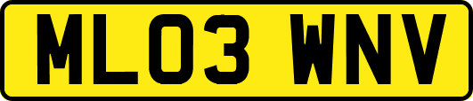 ML03WNV