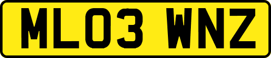 ML03WNZ