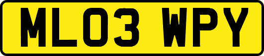 ML03WPY