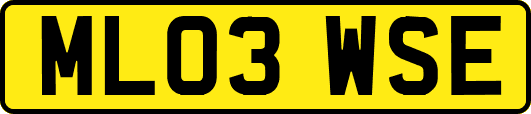 ML03WSE