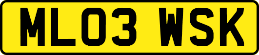 ML03WSK