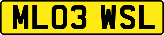 ML03WSL