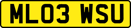 ML03WSU
