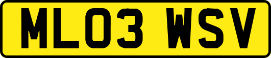 ML03WSV