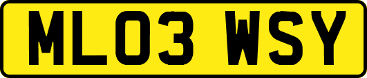 ML03WSY