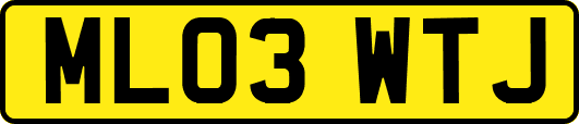 ML03WTJ